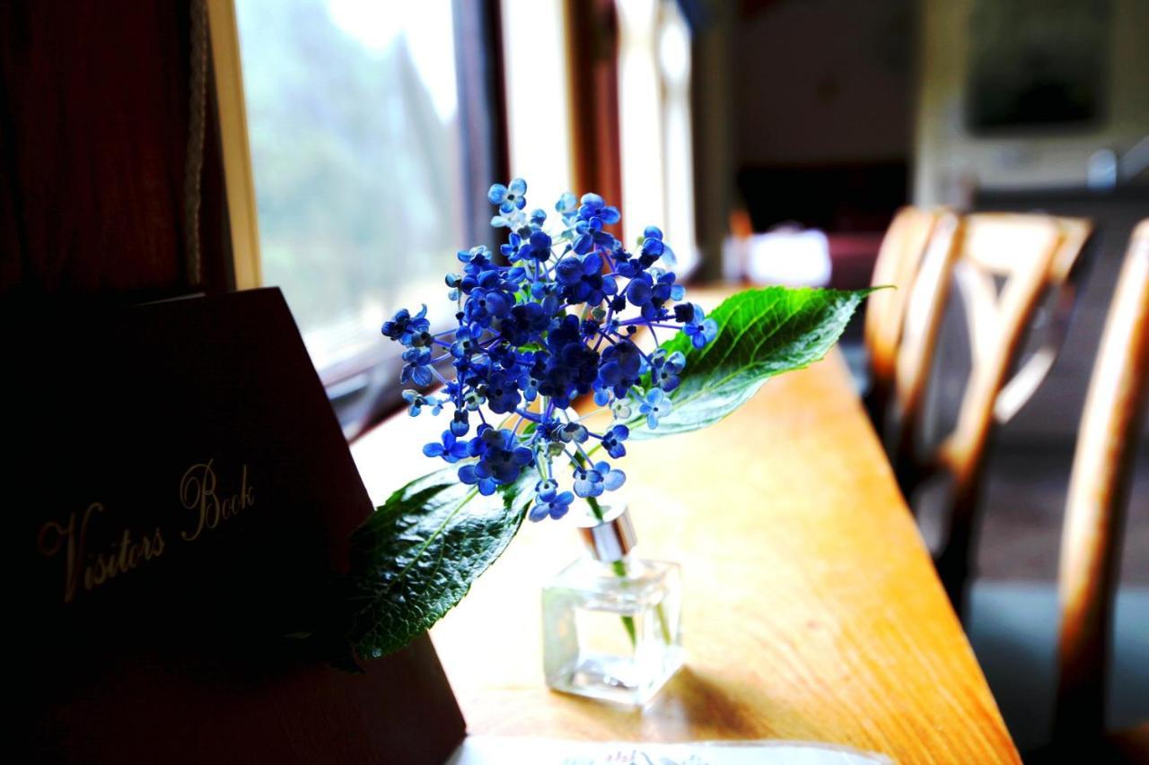 وايتومو كيفز Woodlyn Park Motel المظهر الخارجي الصورة